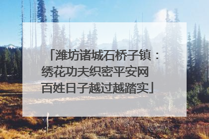 潍坊诸城石桥子镇：绣花功夫织密平安网 百姓日子越过越踏实