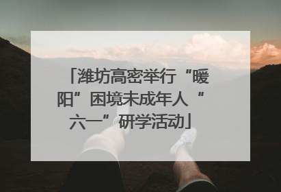 潍坊高密举行“暖阳”困境未成年人“六一”研学活动
