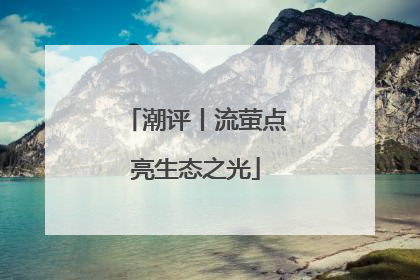 潮评丨流萤点亮生态之光