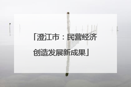 澄江市：民营经济创造发展新成果