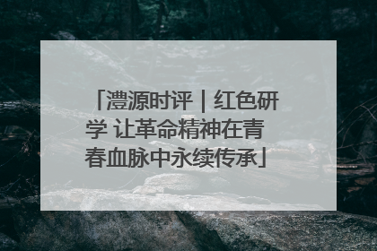 澧源时评｜红色研学 让革命精神在青春血脉中永续传承
