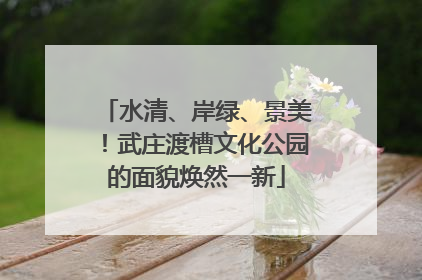 水清、岸绿、景美！武庄渡槽文化公园的面貌焕然一新