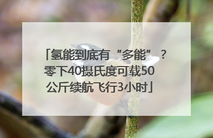 氢能到底有“多能”？零下40摄氏度可载50公斤续航飞行3小时