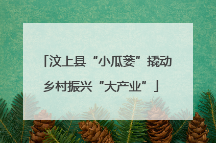 汶上县“小瓜蒌”撬动乡村振兴“大产业”