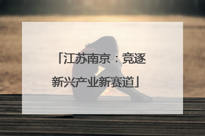 江苏南京：竞逐新兴产业新赛道