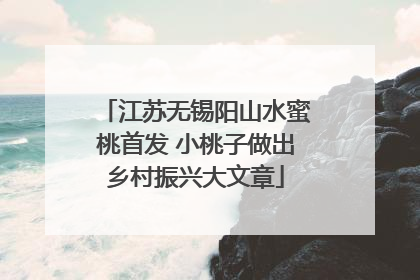 江苏无锡阳山水蜜桃首发 小桃子做出乡村振兴大文章
