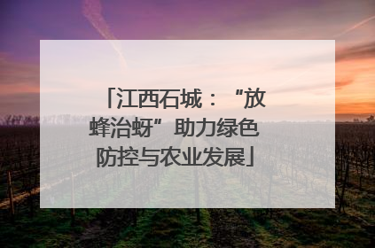 江西石城：“放蜂治蚜”助力绿色防控与农业发展