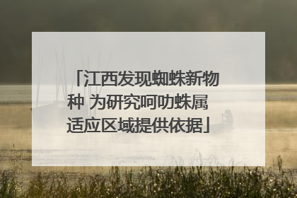 江西发现蜘蛛新物种 为研究呵叻蛛属适应区域提供依据
