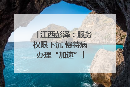 江西彭泽：服务权限下沉 慢特病办理“加速”
