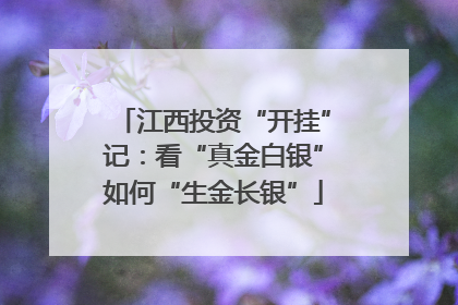 江西投资“开挂”记：看“真金白银”如何“生金长银”