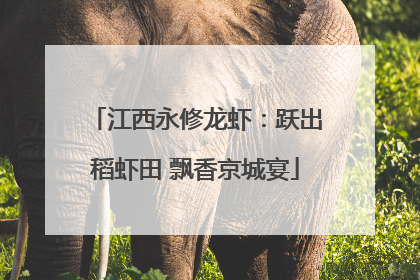 江西永修龙虾：跃出稻虾田 飘香京城宴
