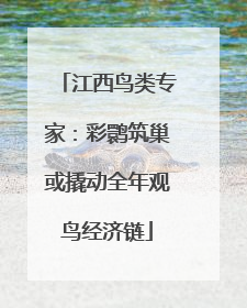 江西鸟类专家：彩鹮筑巢或撬动全年观鸟经济链