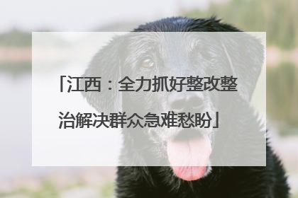 江西：全力抓好整改整治解决群众急难愁盼