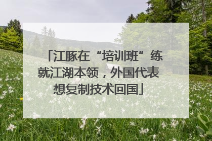江豚在“培训班”练就江湖本领，外国代表想复制技术回国
