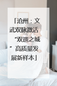沧州：文武双脉激活“双遗之城”高质量发展新样本