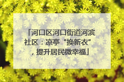 河口区河口街道河滨社区：凉亭“换新衣”，提升居民微幸福