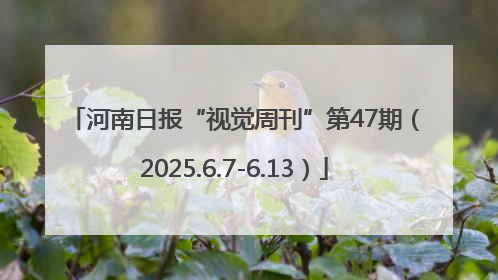 河南日报“视觉周刊”第47期（2025.6.7-6.13）