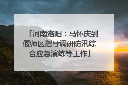 河南洛阳：马怀庆到偃师区指导调研防汛综合应急演练等工作