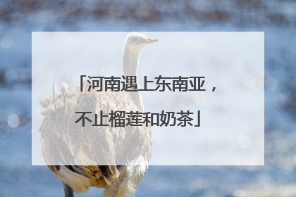 河南遇上东南亚，不止榴莲和奶茶