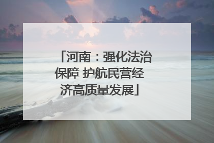 河南：强化法治保障 护航民营经济高质量发展