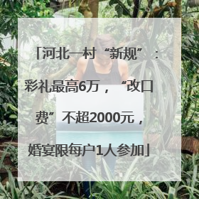 河北一村“新规”：彩礼最高6万，“改口费”不超2000元，婚宴限每户1人参加