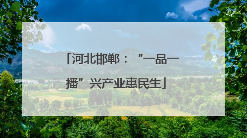 河北邯郸：“一品一播”兴产业惠民生