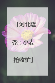 河北隆尧：小麦抢收忙