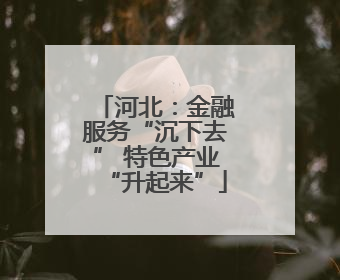 河北：金融服务“沉下去” 特色产业“升起来”