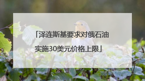 泽连斯基要求对俄石油实施30美元价格上限