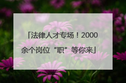 法律人才专场！2000余个岗位“职”等你来