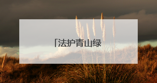 法护青山绿 共筑生态屏
