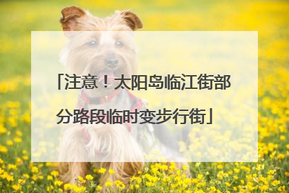 注意！太阳岛临江街部分路段临时变步行街