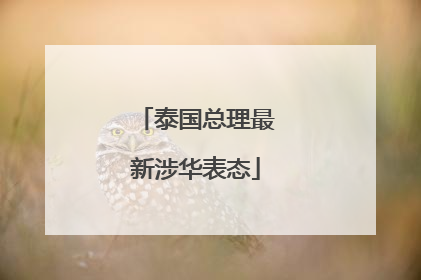 泰国总理最新涉华表态