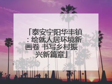 泰安宁阳华丰镇：绘就人居环境新画卷 书写乡村振兴新篇章