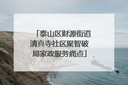 泰山区财源街道清真寺社区聚智破局家政服务痛点