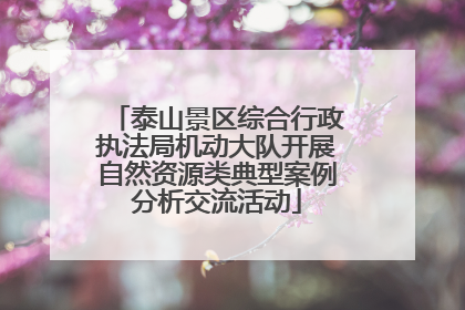 泰山景区综合行政执法局机动大队开展自然资源类典型案例分析交流活动