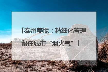 泰州姜堰：精细化管理留住城市“烟火气”
