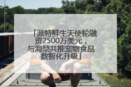 派特鲜生天使轮融资2500万美元，与海鼎共推宠物食品数智化升级