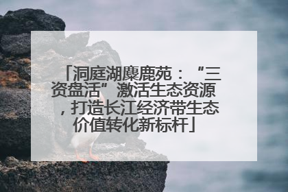 洞庭湖麋鹿苑：“三资盘活”激活生态资源，打造长江经济带生态价值转化新标杆