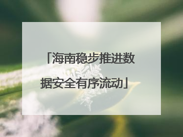 海南稳步推进数据安全有序流动