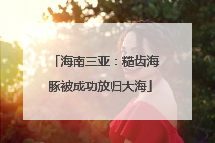 海南三亚：糙齿海豚被成功放归大海