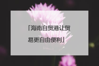 海南自贸港让贸易更自由便利