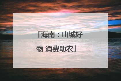 海南：山城好物 消费助农