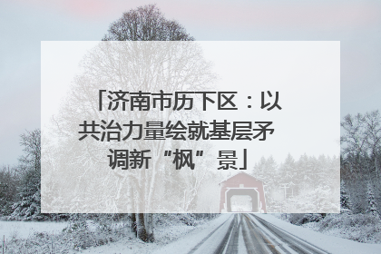 济南市历下区：以共治力量绘就基层矛调新“枫”景