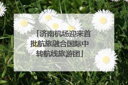 济南机场迎来首批航旅融合国际中转航线旅游团