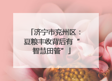 济宁市兖州区：夏粮丰收背后有“智慧田管”