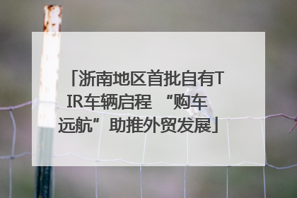 浙南地区首批自有TIR车辆启程 “购车远航”助推外贸发展
