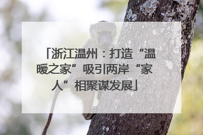 浙江温州：打造“温暖之家”吸引两岸“家人”相聚谋发展