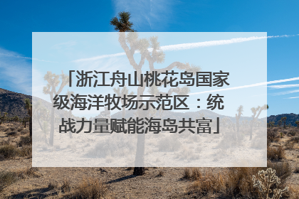 浙江舟山桃花岛国家级海洋牧场示范区：统战力量赋能海岛共富