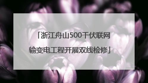 浙江舟山500千伏联网输变电工程开展双线检修
